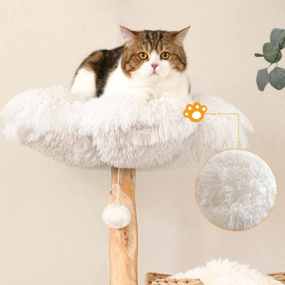 Cat Sturdy Tree | Modern