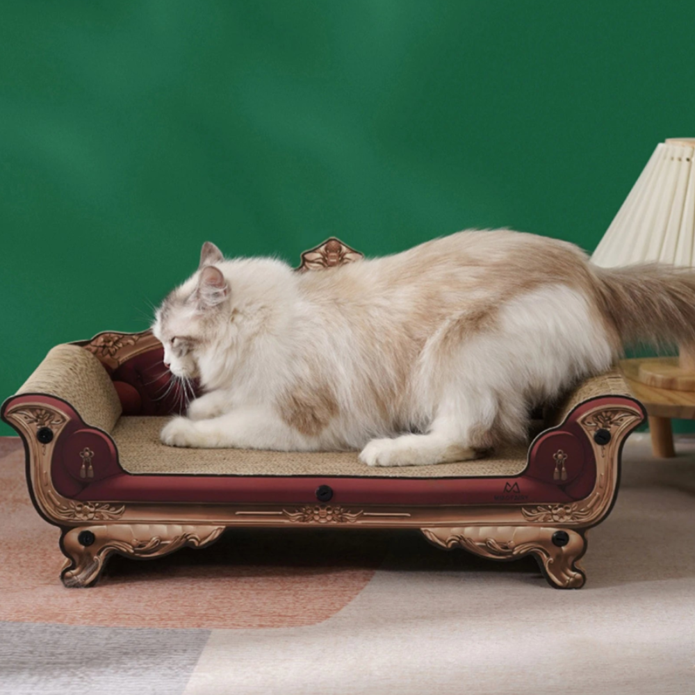 Cat Scratch-Friendly Bed | Modern Lounger