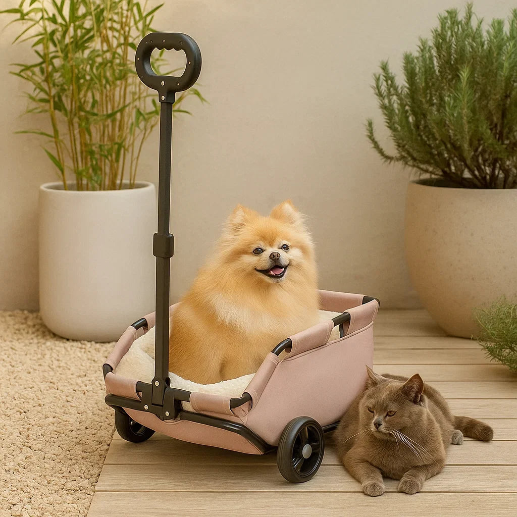Pet Stroller Foldable Buggy with Comfortable Seating