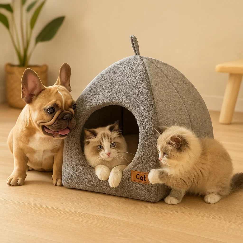 Cat Cave House | Indoor