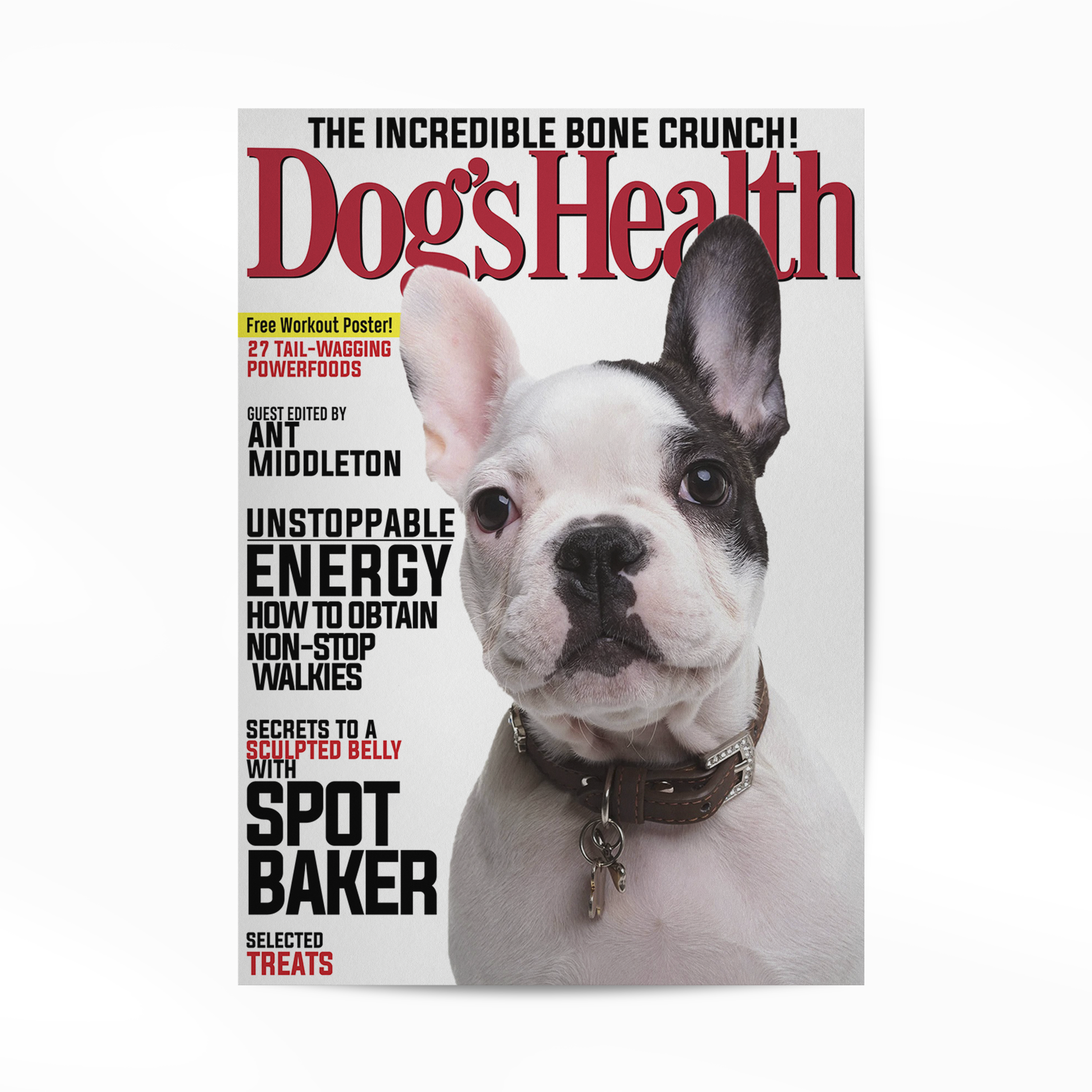 Personalized Pet Poster Your Cat or Dog on a Magazine Cover