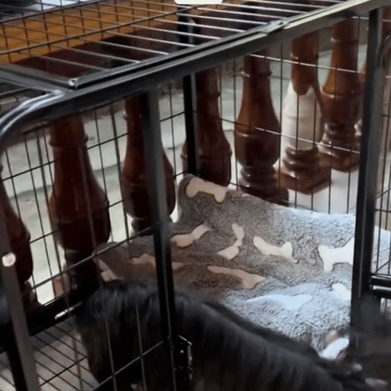 Dog Crate for Large Dogs Escape-Proof Dog Crate, Steel Cage