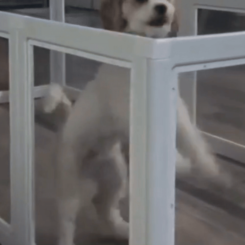 Dog Run Sturdy, Expandable & Modern Design