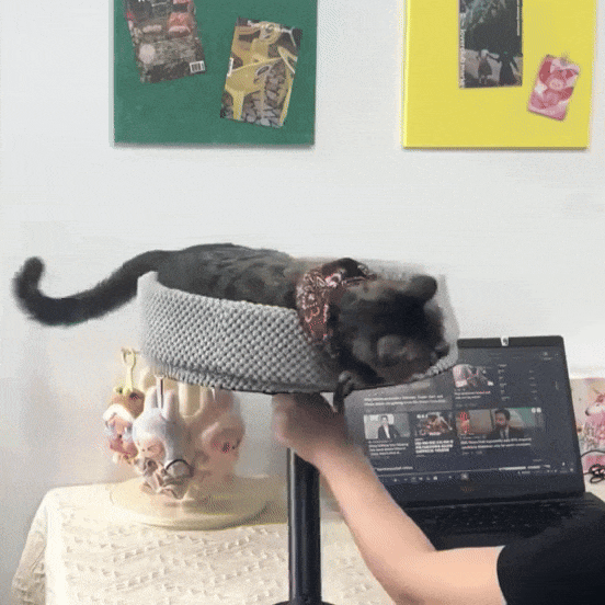 Cat Desk Bed | Sleeping Place