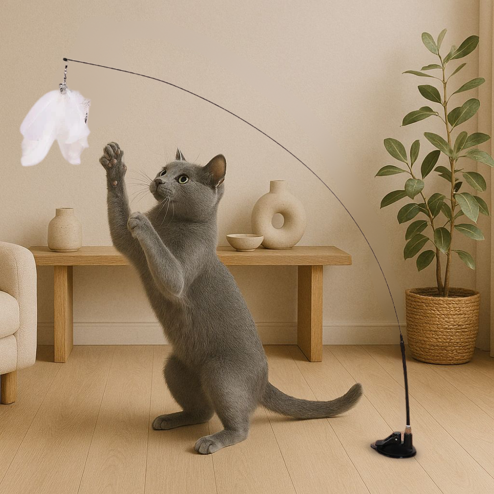 Interactive Cat Toy With Suction Cup Colorful Birds Feathers & Bells