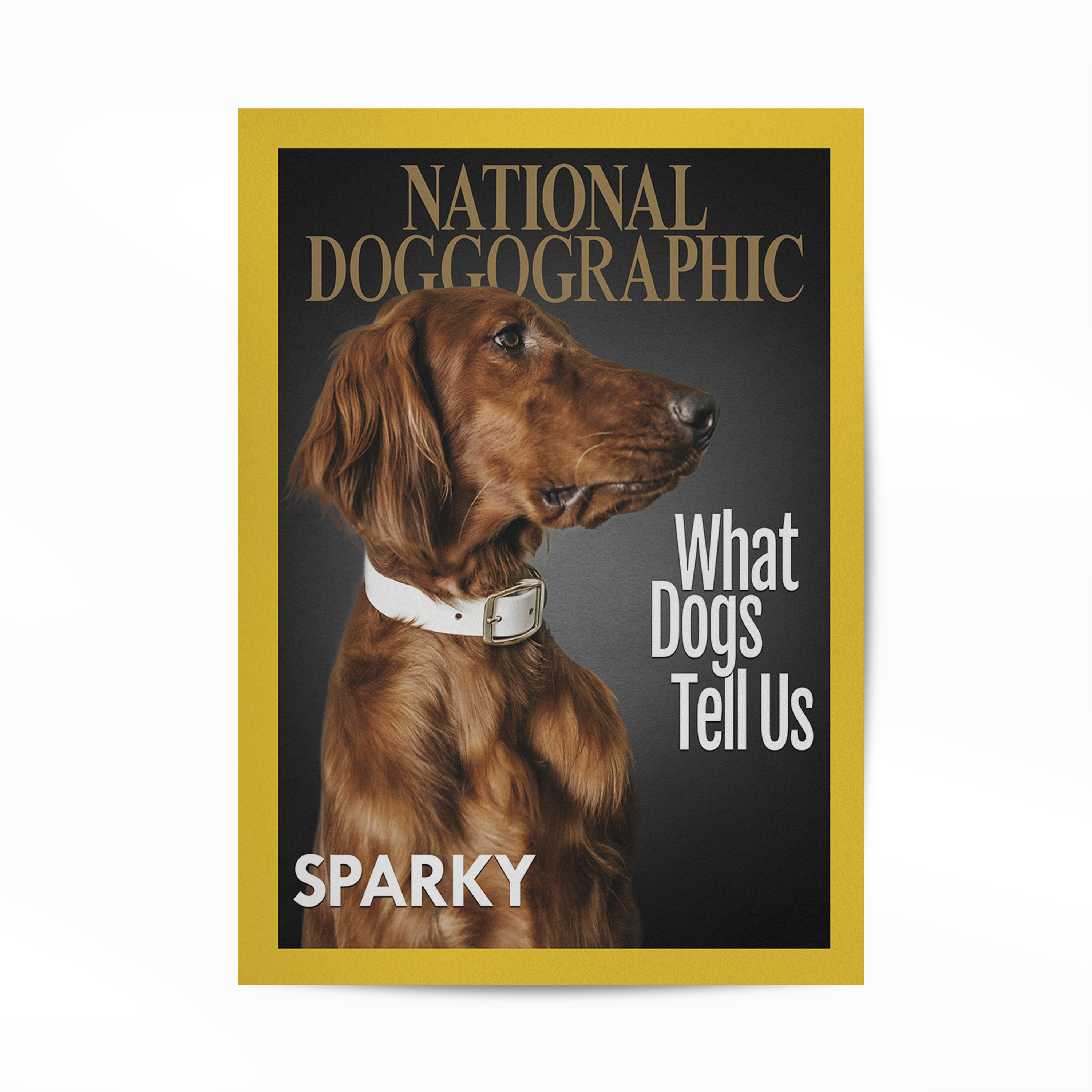 Personalized Pet Poster Your Cat or Dog on a Magazine Cover