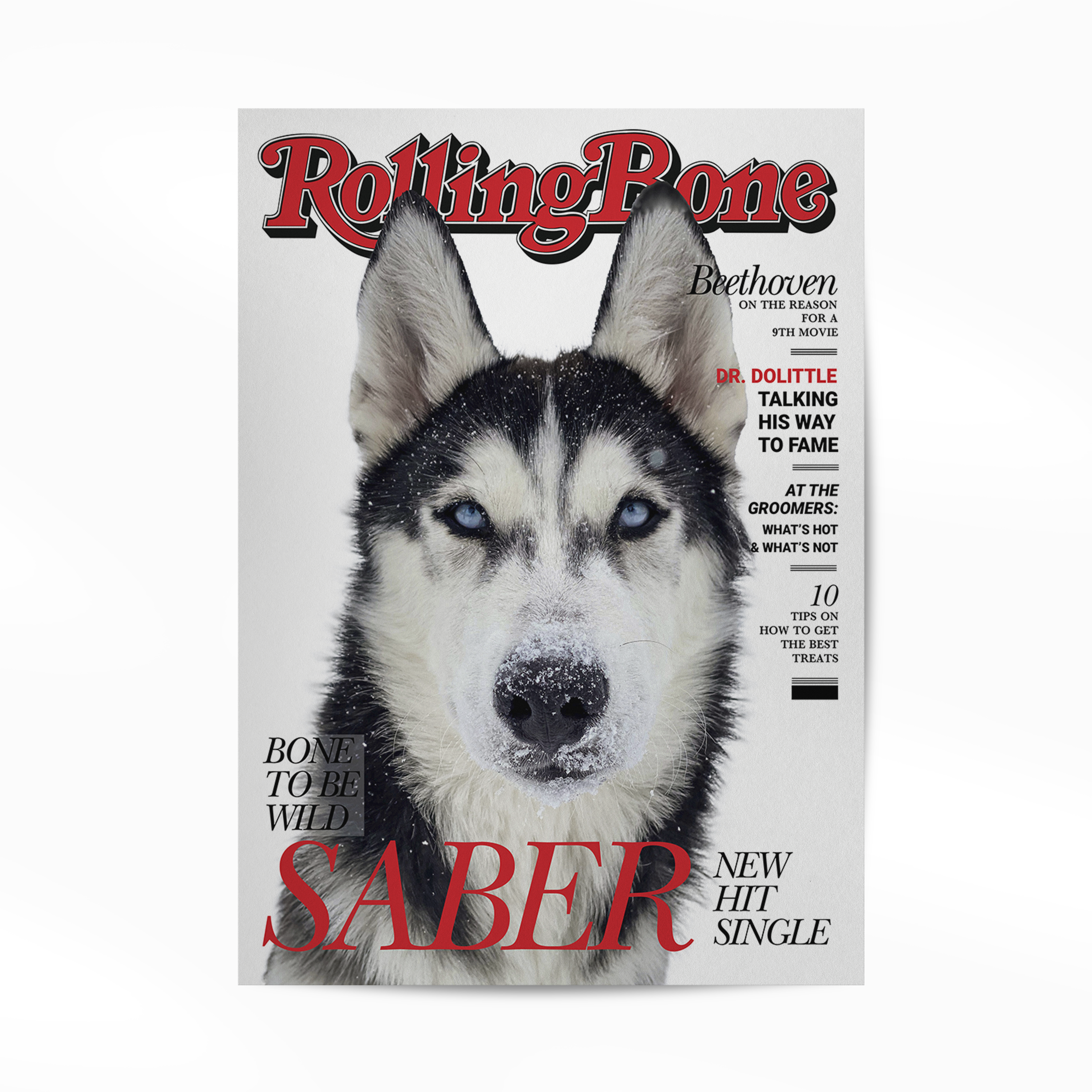 Personalized Pet Poster Your Cat or Dog on a Magazine Cover