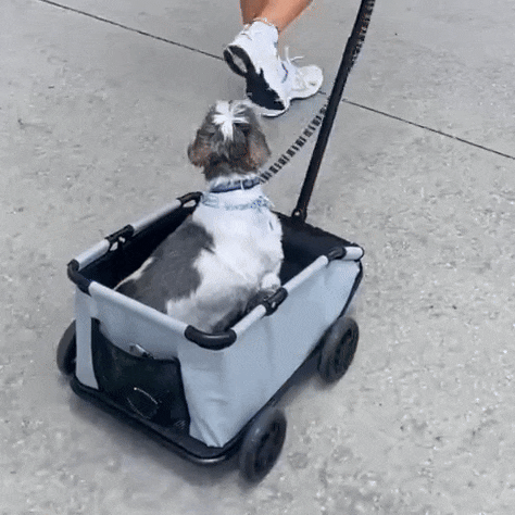 Pet Stroller Foldable Buggy with Comfortable Seating
