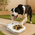 Dog Water Fountain Interactive Pedal Fountain for Outdoor & Cooling