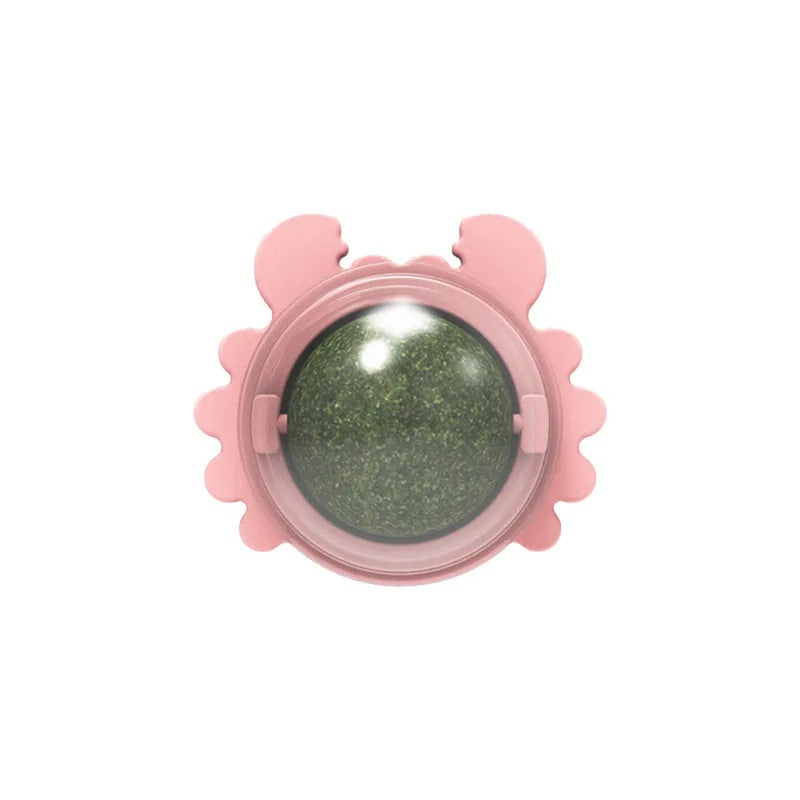 Catnip Snack Ball Cat Ball with Catnip Stimulates Energy & Reduces Stress